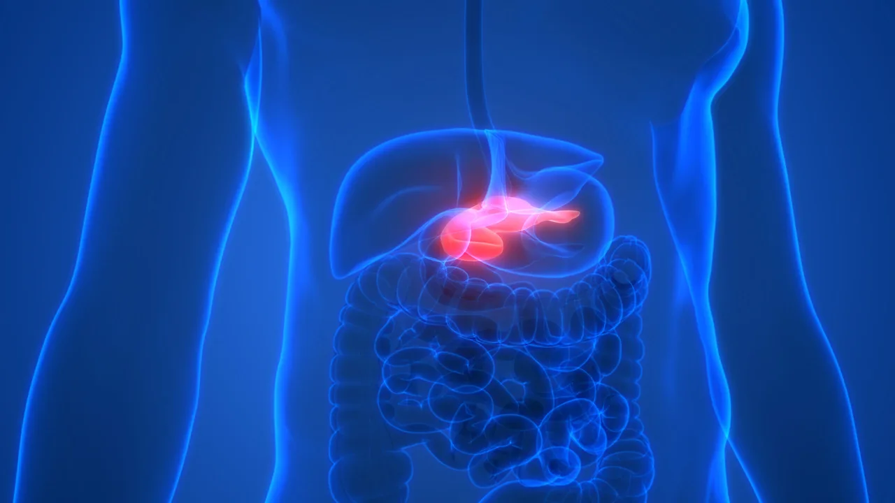 Pancrelipasa y Trastornos Gastrointestinales: Una Visión General Exhaustiva